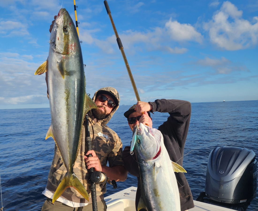 Springtime Yellowtail Tactics